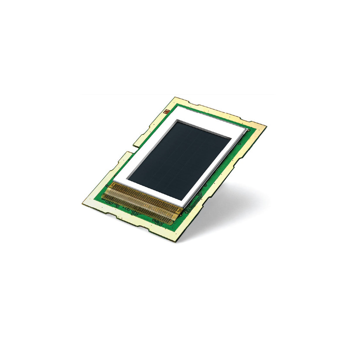 NEXT Biometrics NB 65200 U USB Fingerprint Reader Sensor - Secure Biometric Authentication for Windows PC, Laptop & Online Banking | Ideal for Office, Home & Enterprise Security