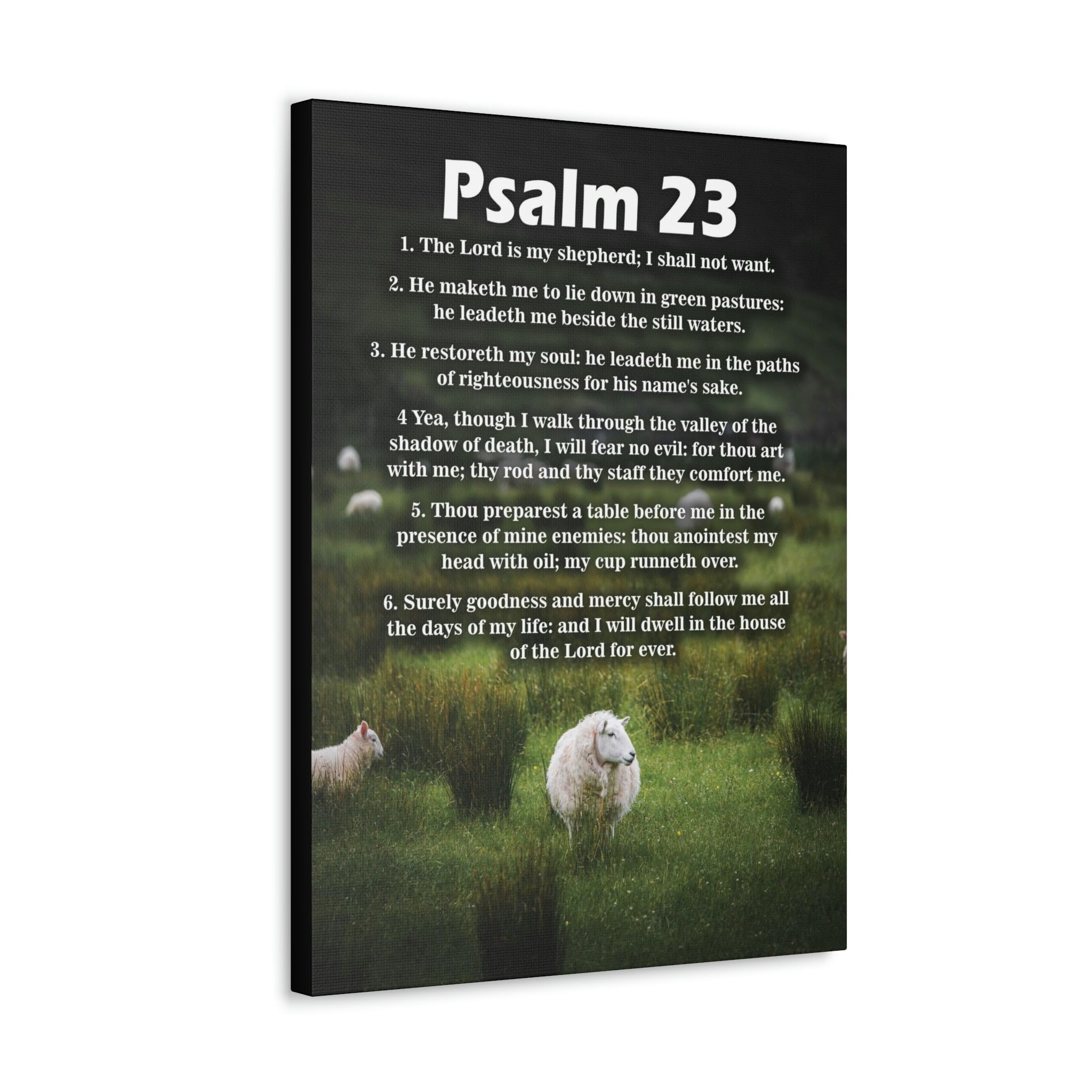 Psalm 23 Bible Verse Canvas Wall Art - Christian Scripture Home Decor for Living Room, Bedroom & Church - Green Scripture Print Gift for Religious Housewarming, Wedding & Baptism