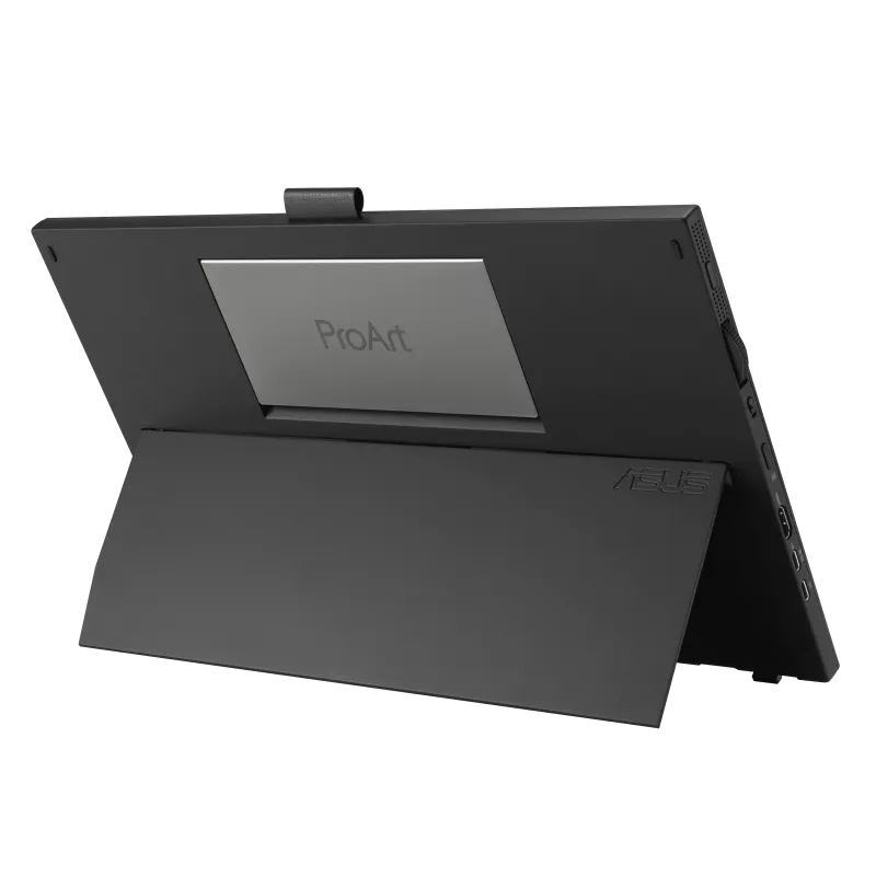 ASUS ProArt PA169CDV 16