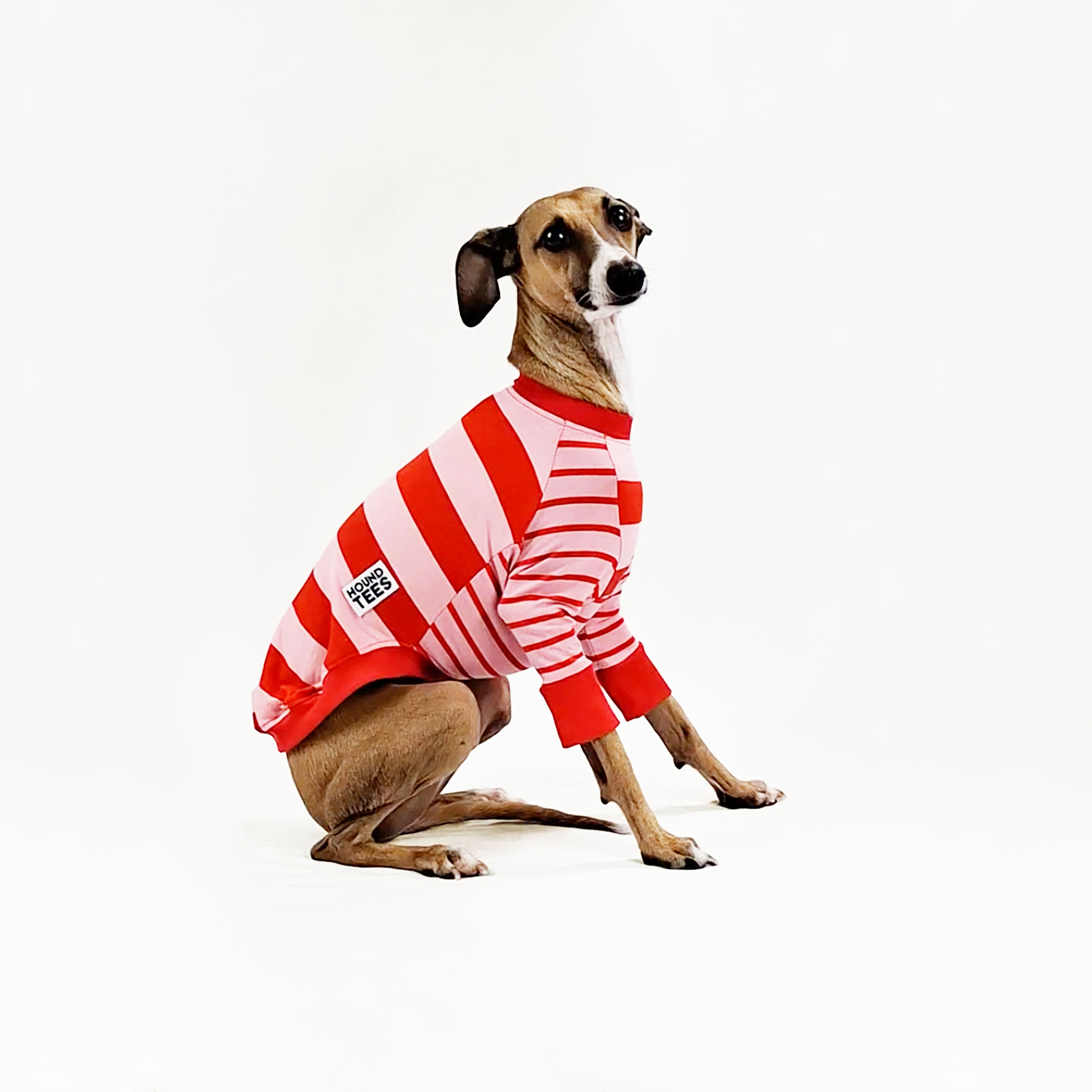 Love Candy Italian Greyhound Long Sleeve Hound T-Shirt - Cute Dog Lover Apparel for Casual Wear & Gifts