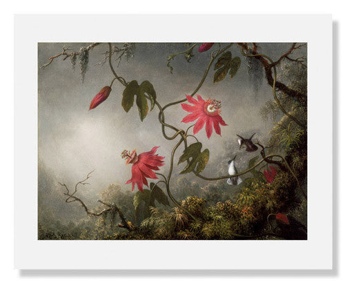 Martin Johnson Heade Passion Flowers and Hummingbirds Painting - Vintage Floral Bird Art Print for Home Decor, Office Wall Art, and Gift Ideas