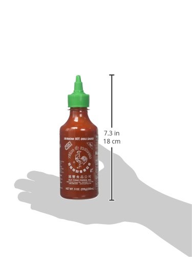 Huy Fong Sriracha Hot Chili Sauce - 9oz Bottle (Pack of 10) | Spicy Asian Chili Garlic Sauce for Cooking, Pho, Noodles & More
