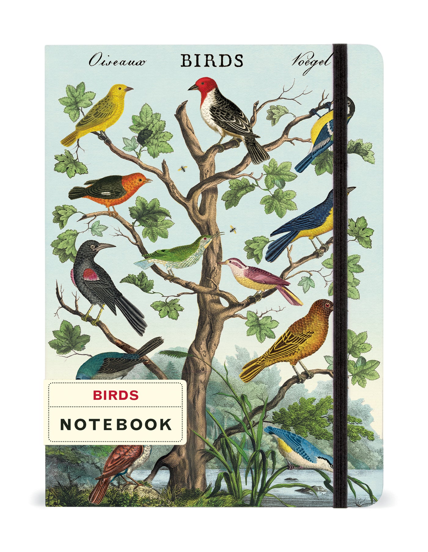 Birds Notebook - Lined Journal for Bird Watching & Nature Lovers - Perfect for Field Notes, Birding Journal, and Outdoor Adventures