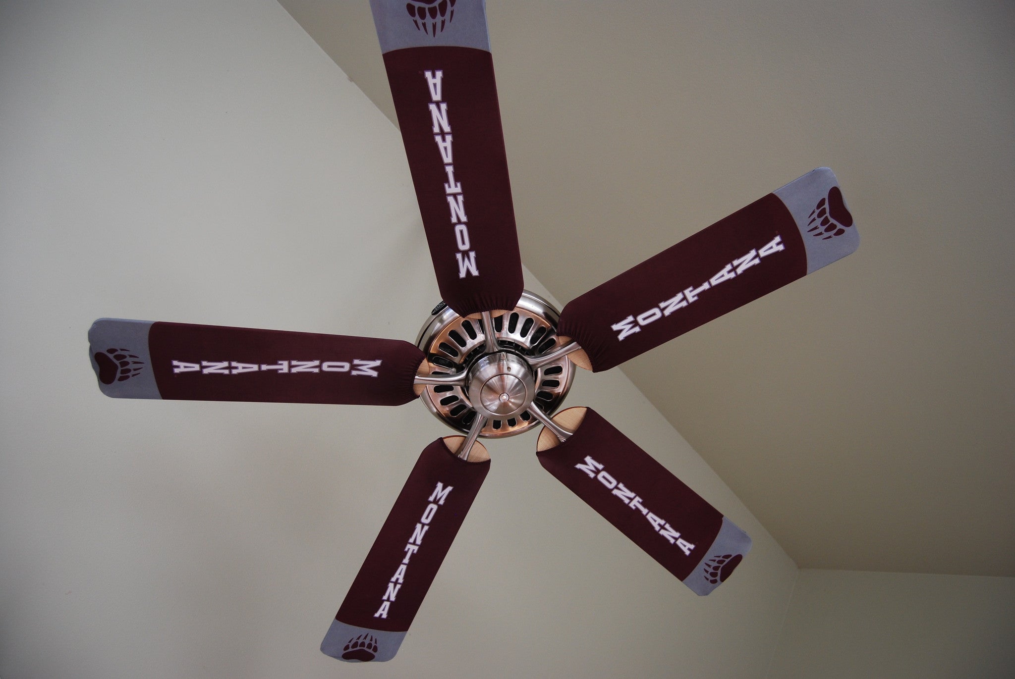 University of Montana Grizzlies Official Merchandise & Apparel - Hoodies, T-Shirts, Hats for Fans | Perfect for Game Day, Tailgating & School Spirit