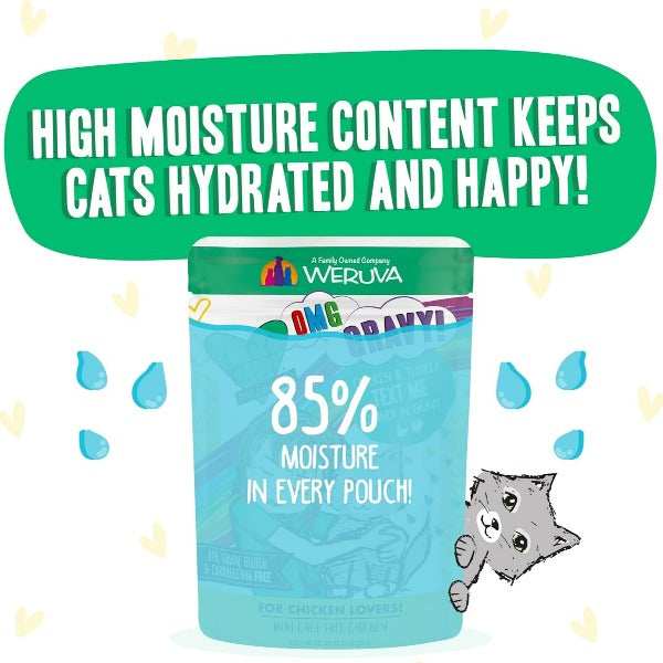 B.F.F. Text Me Chicken & Turkey Dinner in Gravy Pouch Cat Food - Grain-Free Wet Cat Food for Adult Cats, 12 Pack - Perfect for Picky Eaters & Mealtime Enrichment