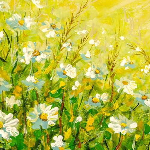 Yellow Daisy