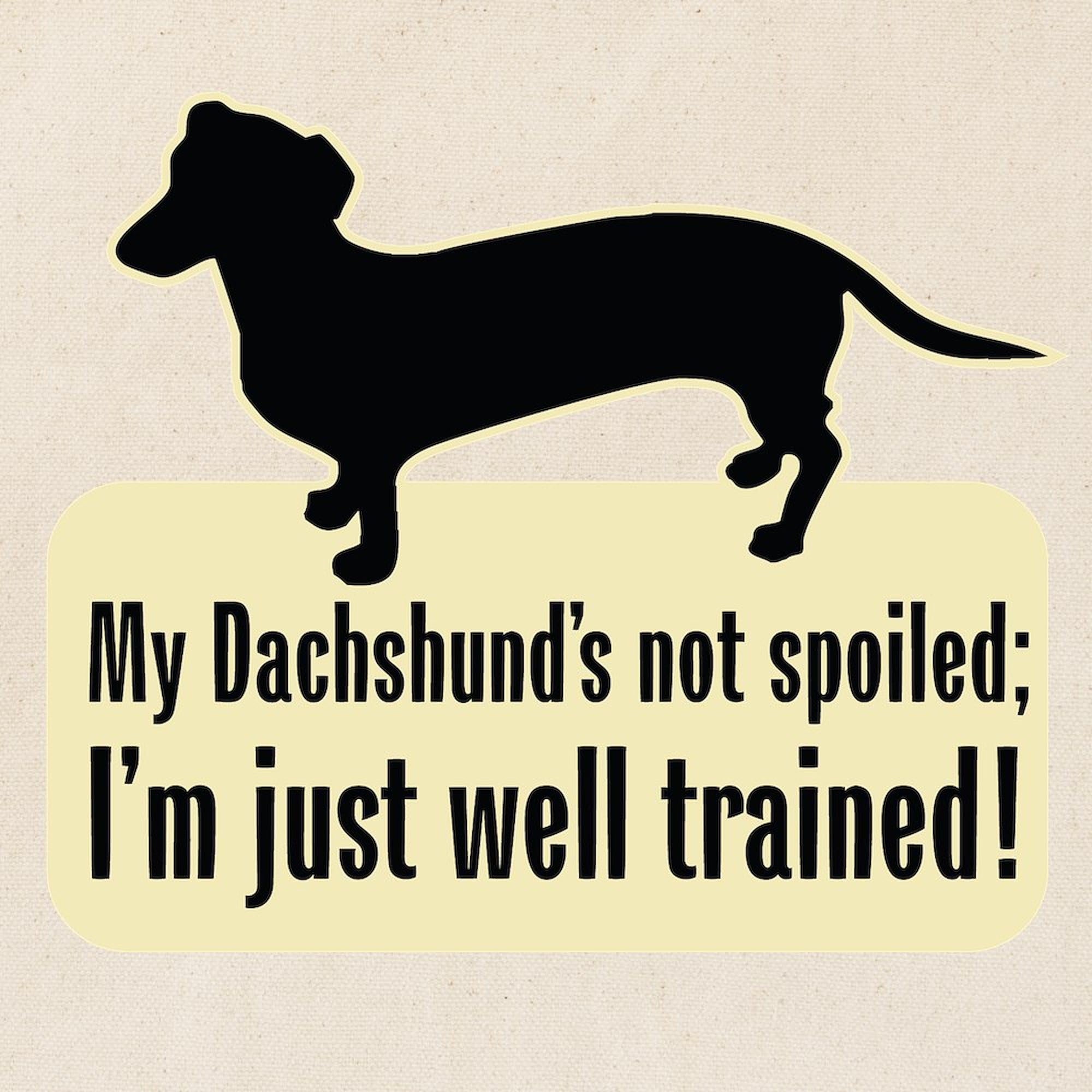 Stylish Dachshund 'Spoiled?' Canvas Tote Bag - Eco-Friendly Reusable Shopping Bag for Groceries, Beach & Daily Use