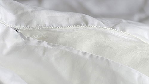 Premium 100% Pure Long Fiber Mulberry Silk Comforter - Twin Size 68x86 Inches - Breathable Summer Weight with Cotton Satin Sateen Cover - Ideal for Hot Sleepers, Luxury Bedding & Temperature Regulation