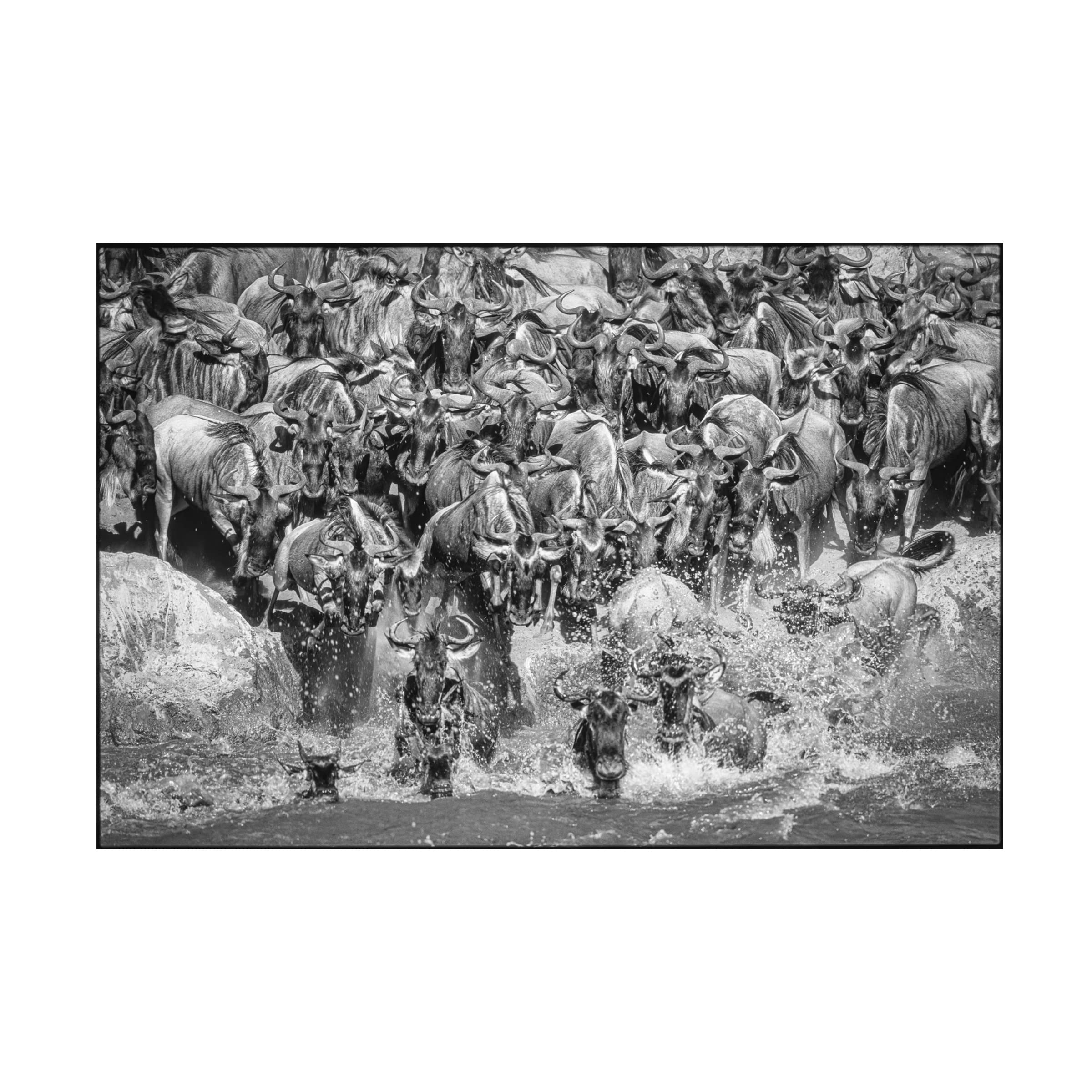 Trademark Fine Art 'The Crossing' Canvas Wall Art by Jeffrey C. Sink - Perfect for Living Room, Bedroom & Office Decor