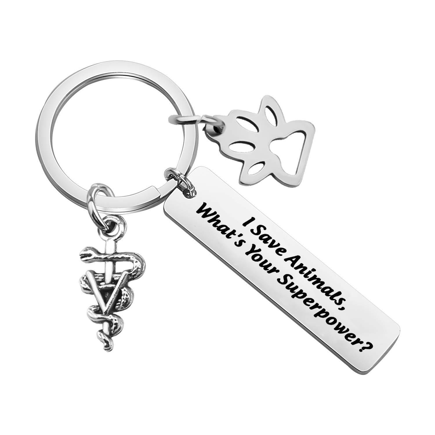 PENQI Veterinarian Keychain - Vet Tech Jewelry Gift for Animal Lovers - 'I Save Animals What's Your Superpower' Paw Keychain - Perfect for Vet Appreciation, Graduation Gifts & Pet Lovers