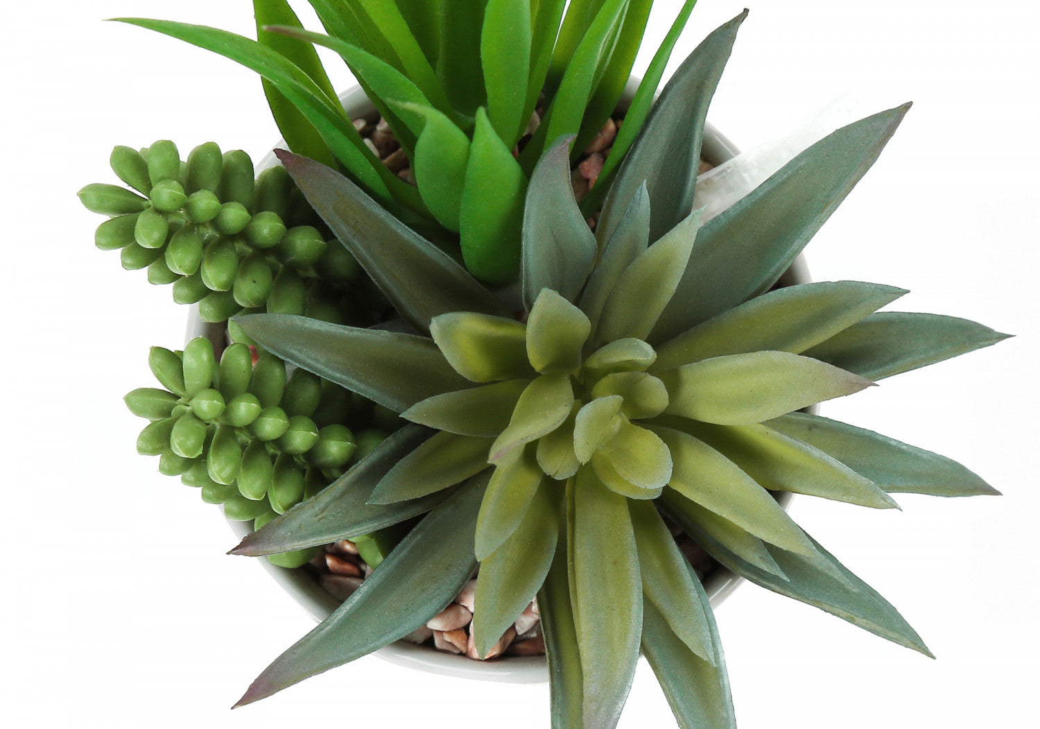 7 Succulent Plants with 3 White Pots - Green Indoor Garden Set of 2 | Perfect for Home Decor, Office Desk & Gift Giving