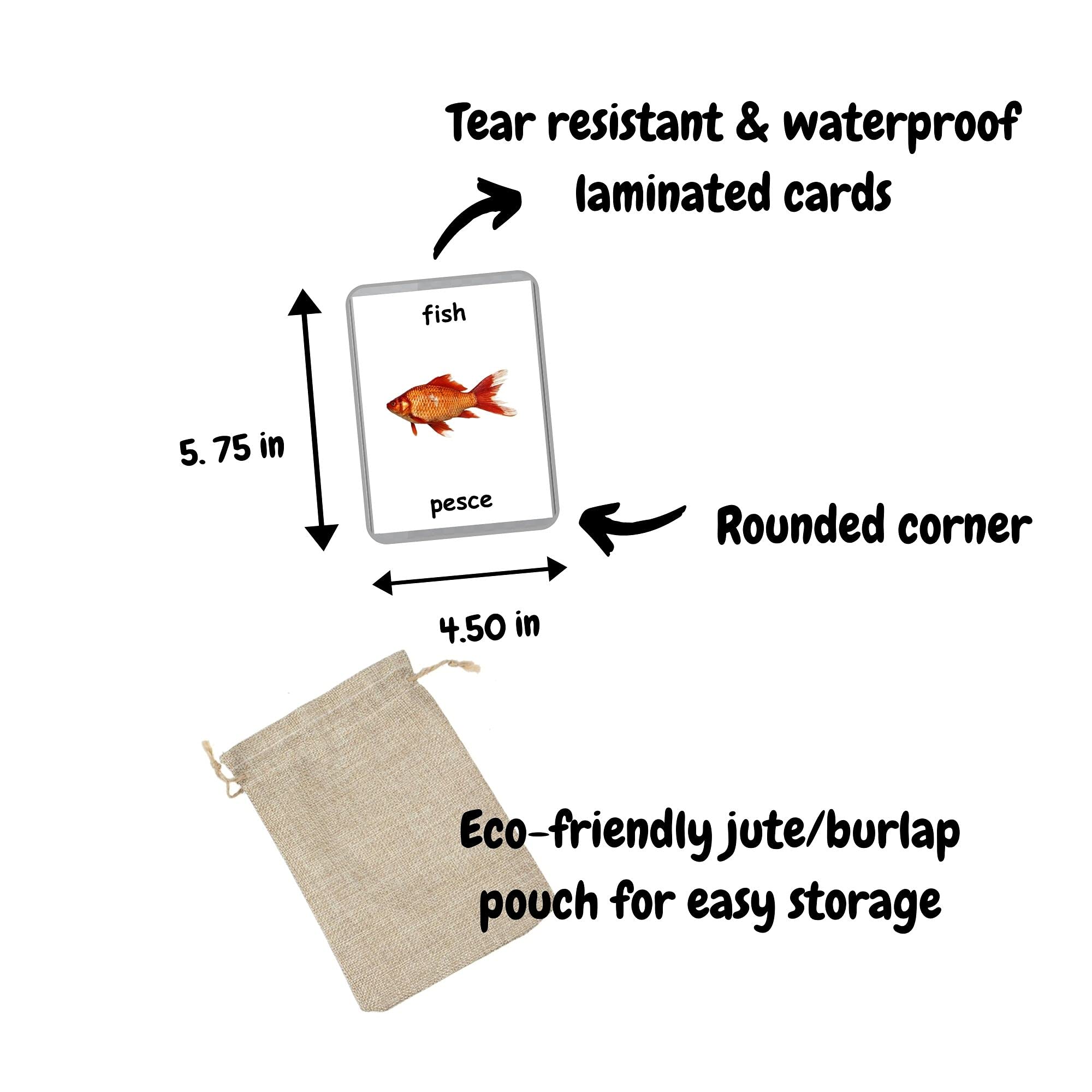 Sea Animals Flash Cards - 26 Laminated Ocean & Water Animal Flashcards for Homeschooling | Bilingual English + Italian Learning Cards | Educational Toys for Kids Classroom & Home Use
