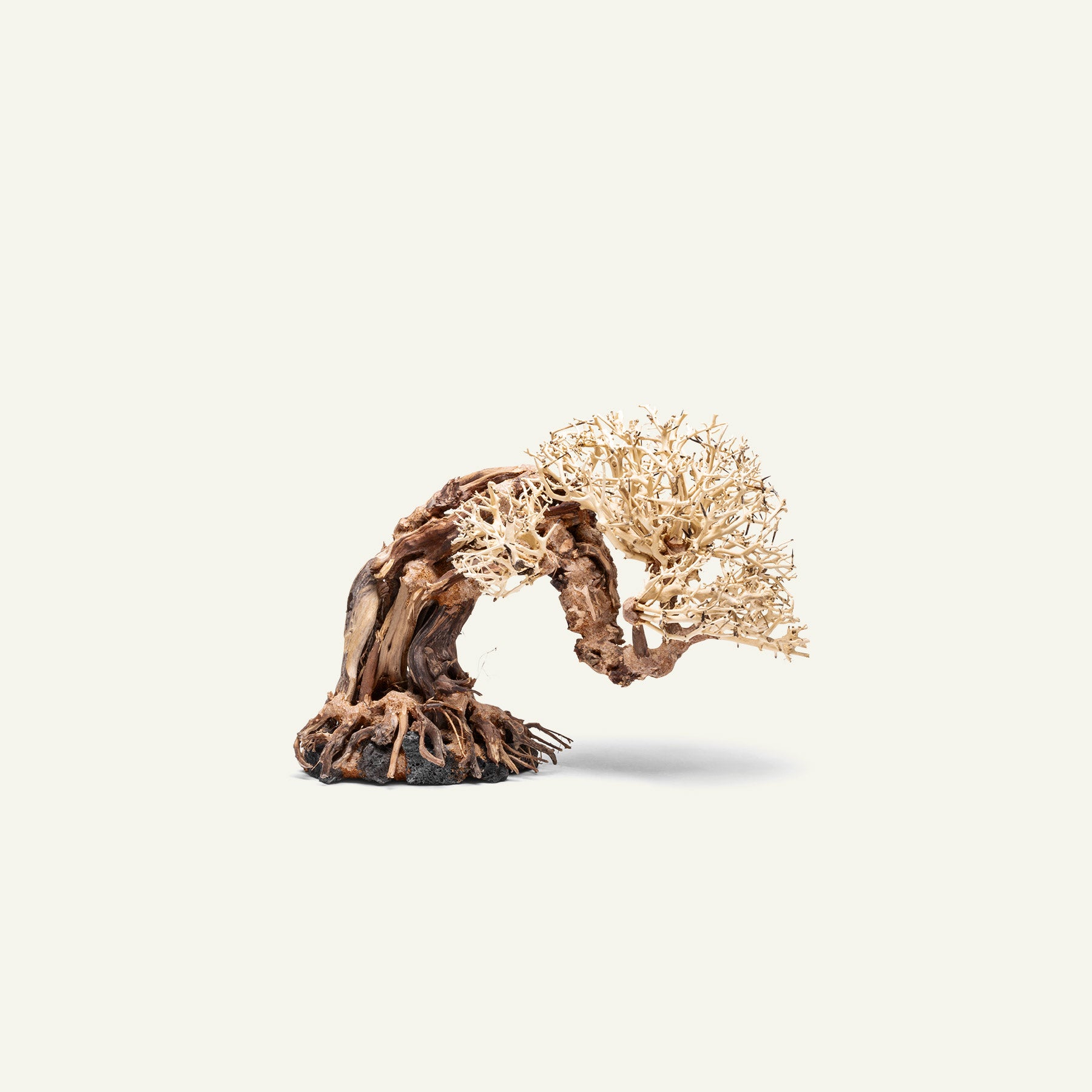 Premium Uns Bonsai 013 - High-Quality Artificial Bonsai Tree for Home & Office Decor | Perfect for Zen Gardens, Living Rooms, and Desk Decorations