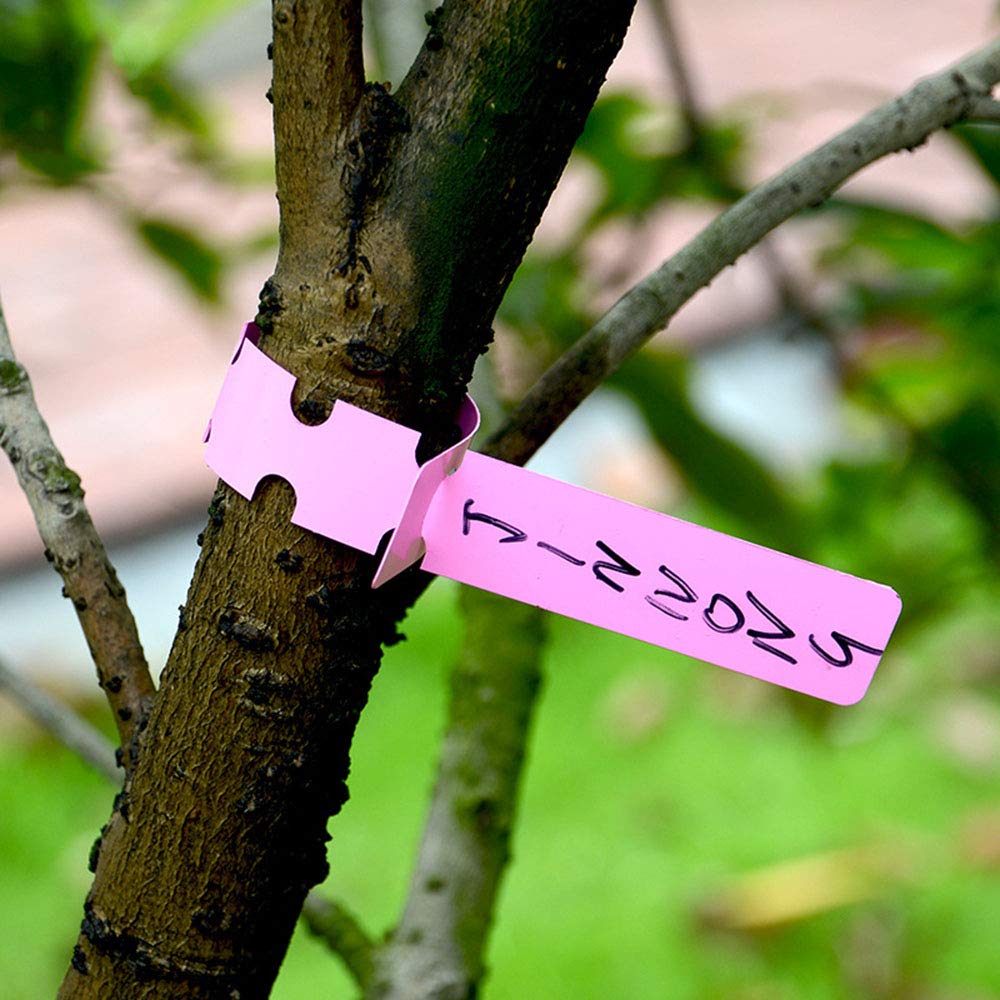 500 Pack Waterproof Reusable Plant Labels - Plastic Wrap Around Hanging Garden Markers for Nursery, Trees & Outdoor Plants | Perfect for Gardening, Seed Starting & Plant Identification