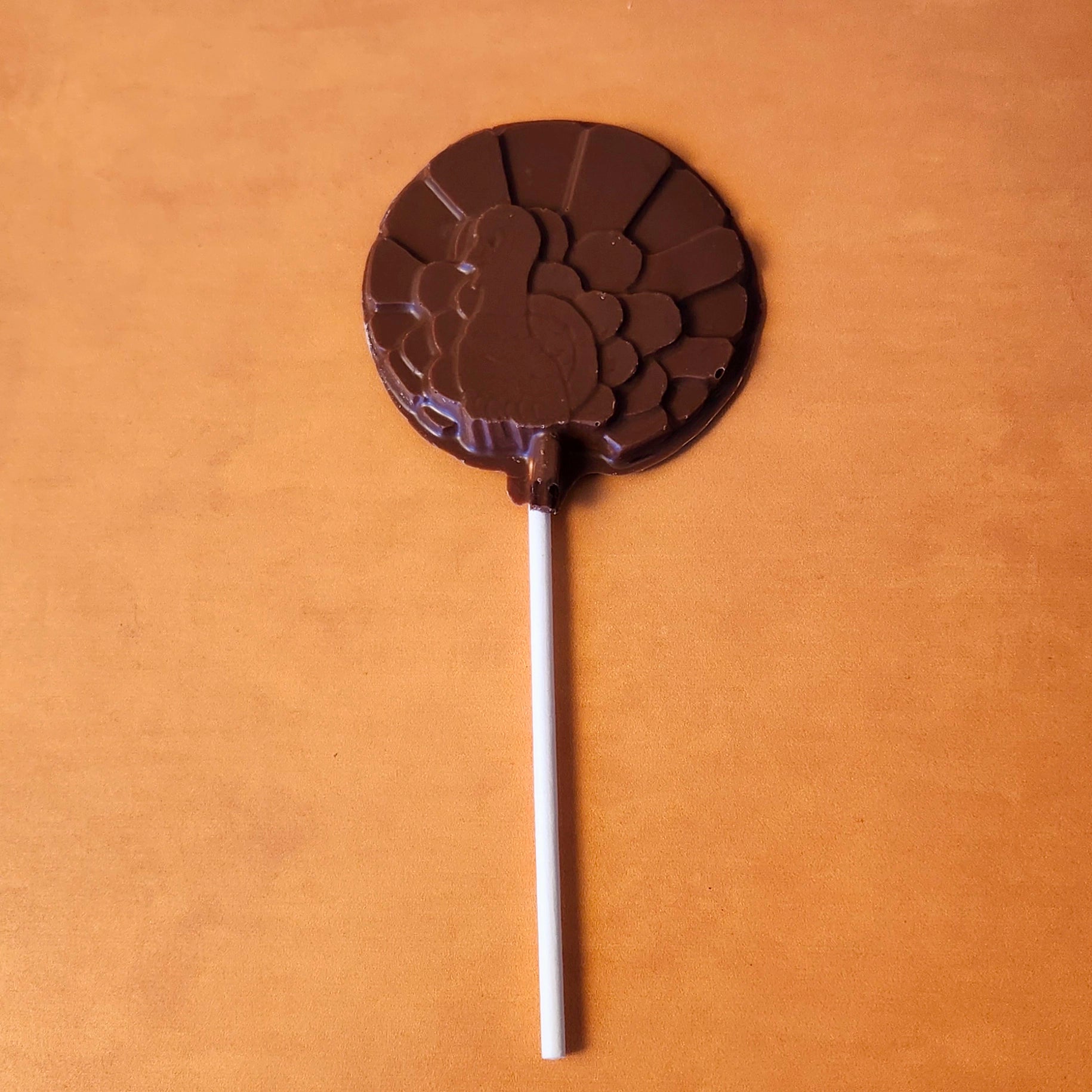 Round Turkey Lollipop - Premium Dog Chew Treats for Large Breeds - Long-Lasting Dental Chews for Aggressive Chewers - Perfect for Training, Teething & Playtime