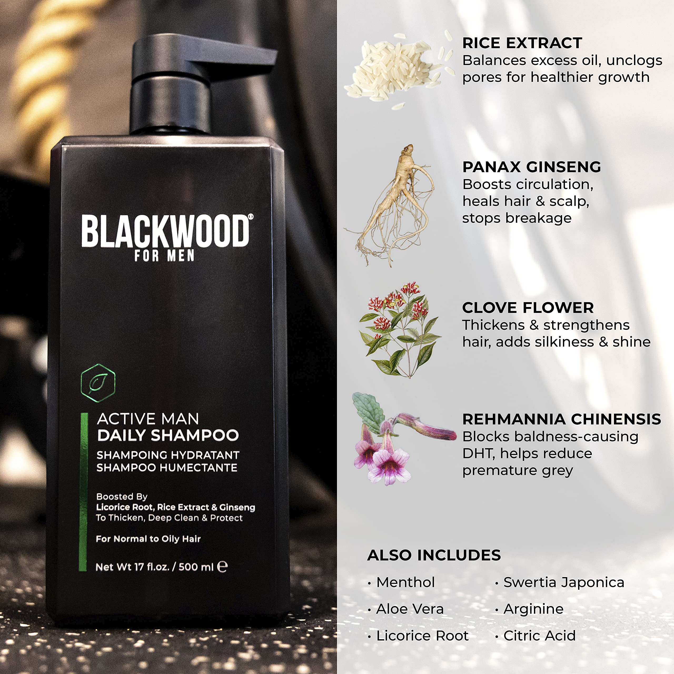 Blackwood For Men Active Daily Shampoo & Conditioner Set (17 Oz Each) with Pure Moisture Body Wash - 3-in-1 Grooming Kit for Gym, Work & Travel