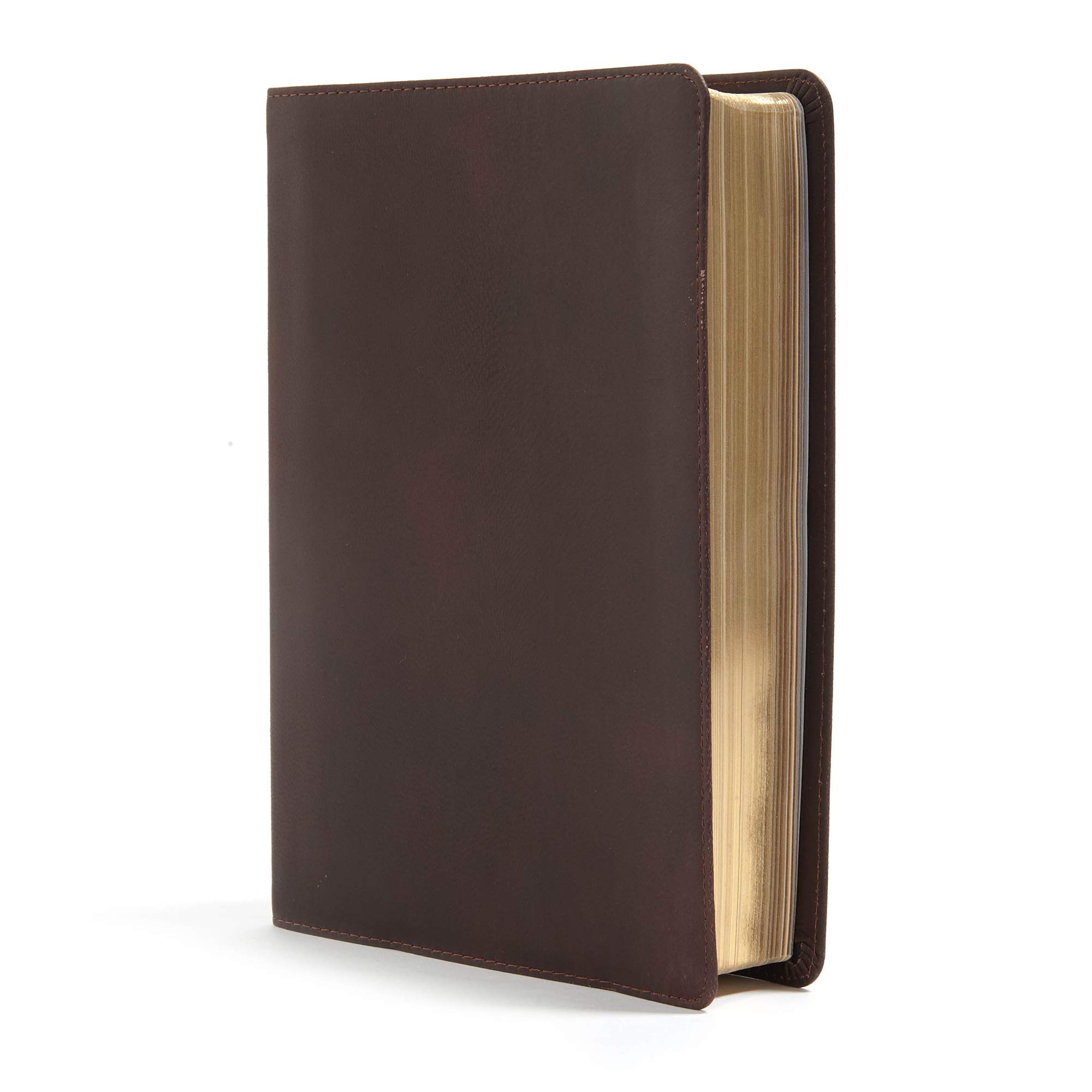 CSB Worldview Study Bible - Brown Genuine Leather Cover, ESV Translation | Perfect for Bible Study, Church Services & Personal Devotion