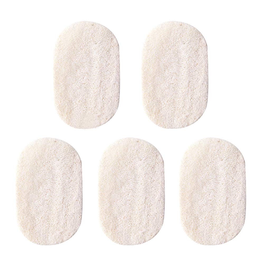 5-Pack Natural Loofah Sponges for Kitchen - Eco-Friendly Dish Scrubber & Vegetable Cleaner - Perfect for Washing Dishes, Fruits and Vegetables