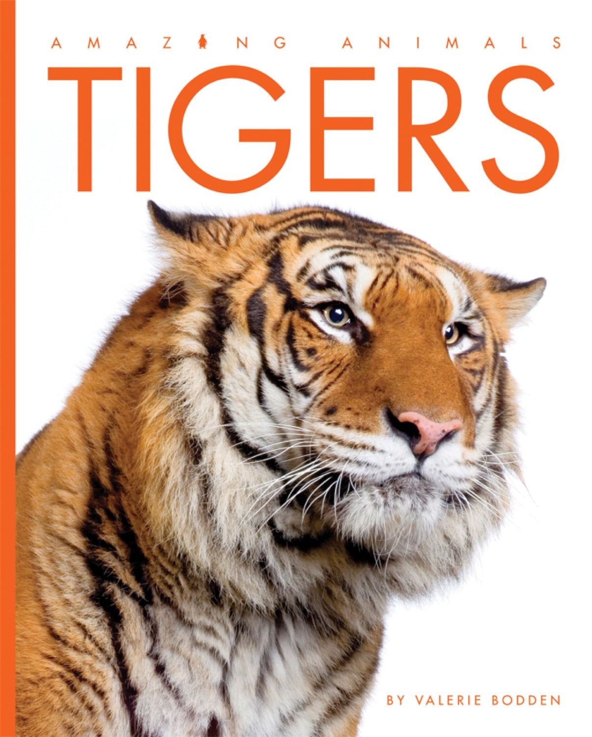 Amazing Animals (2014) - Tigers Documentary: Wildlife, Nature & Big Cats Facts | Perfect for Animal Lovers, Classroom Learning & Family Movie Nights
