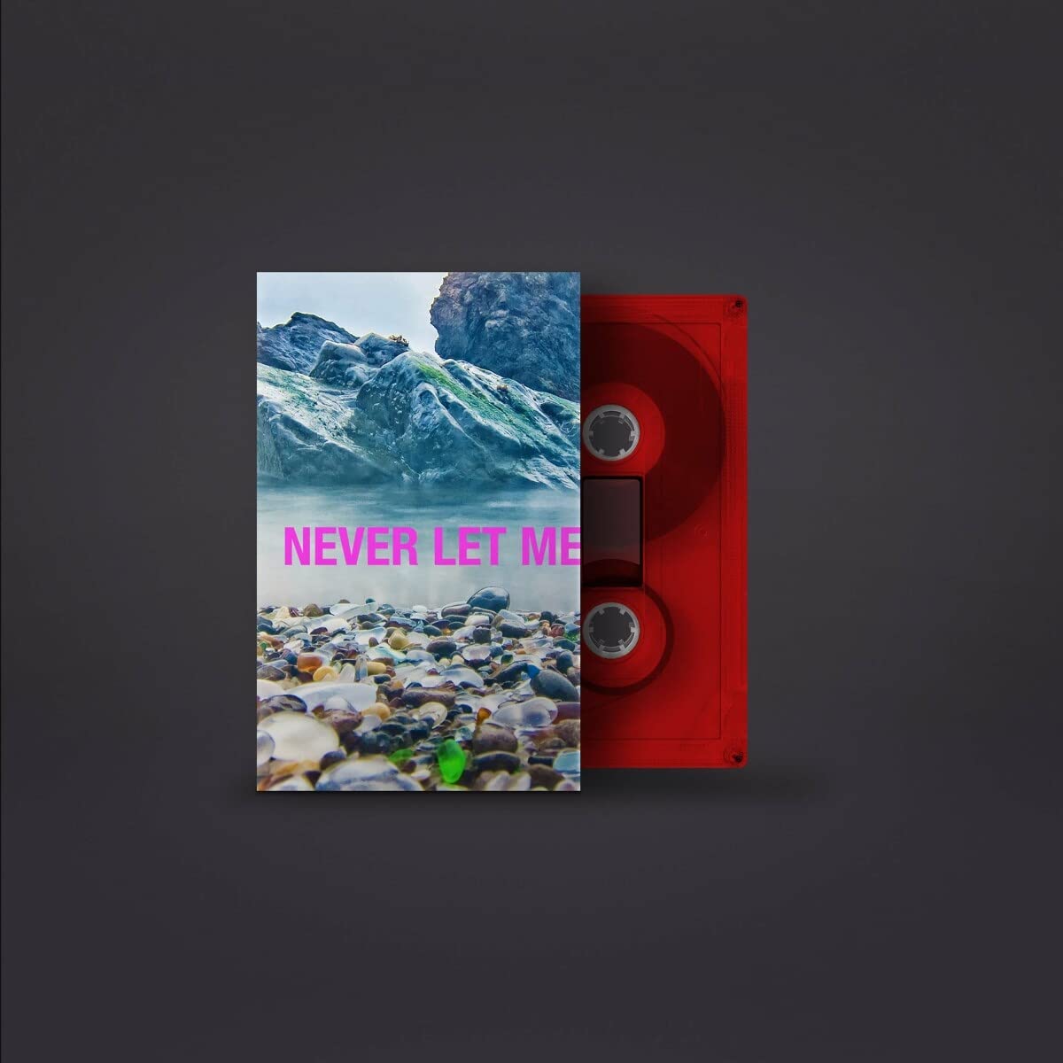 Never Let Me Go (Red) - Classic Novel by Kazuo Ishiguro | Dystopian Fiction & Literary Masterpiece - Perfect for Book Clubs, Gifts & Literature Lovers