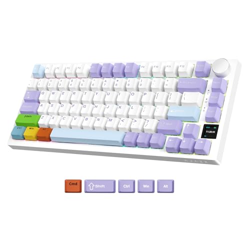 Purple(Flying Fish Switch,Cable)