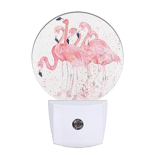Pink Flamingos