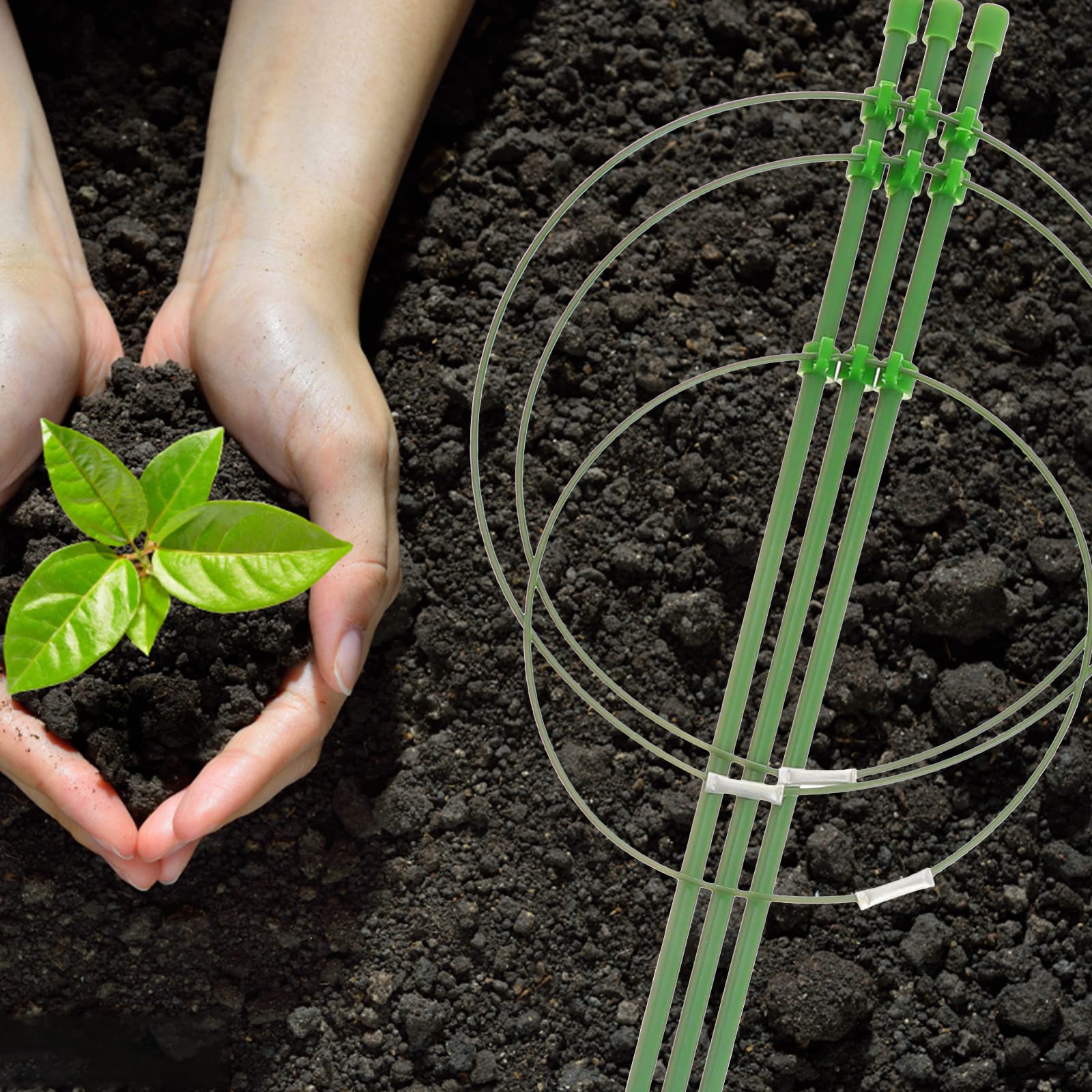 2 Pack Tomato Plant Cages - Heavy Duty Garden Stake Supports for Tomatoes, Climbing Plants, Flowers & Small Plants | Sturdy Trellis Rings for Outdoor Gardening & Backyard Planting