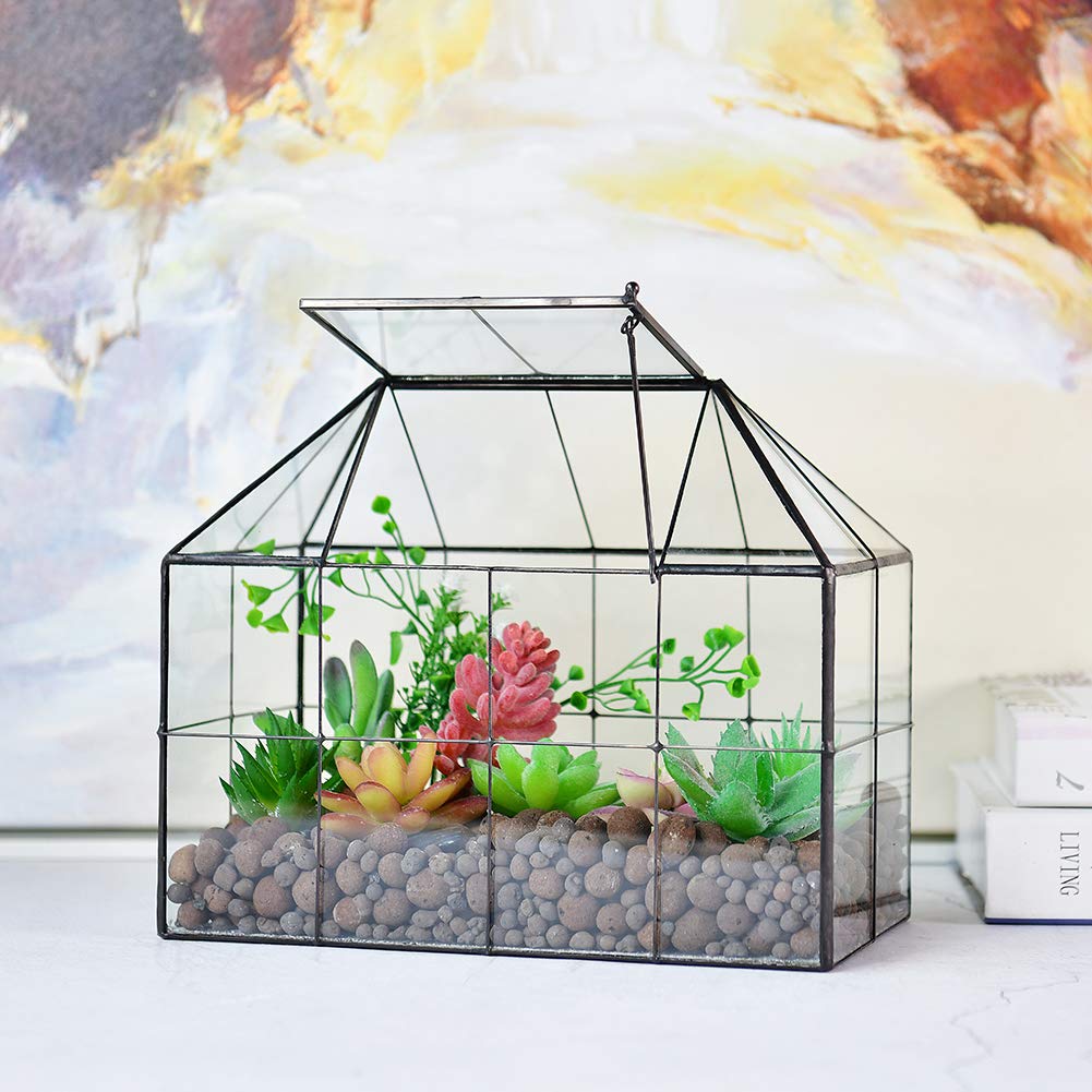 Large Glass Terrarium Planter for Succulents - 9.8