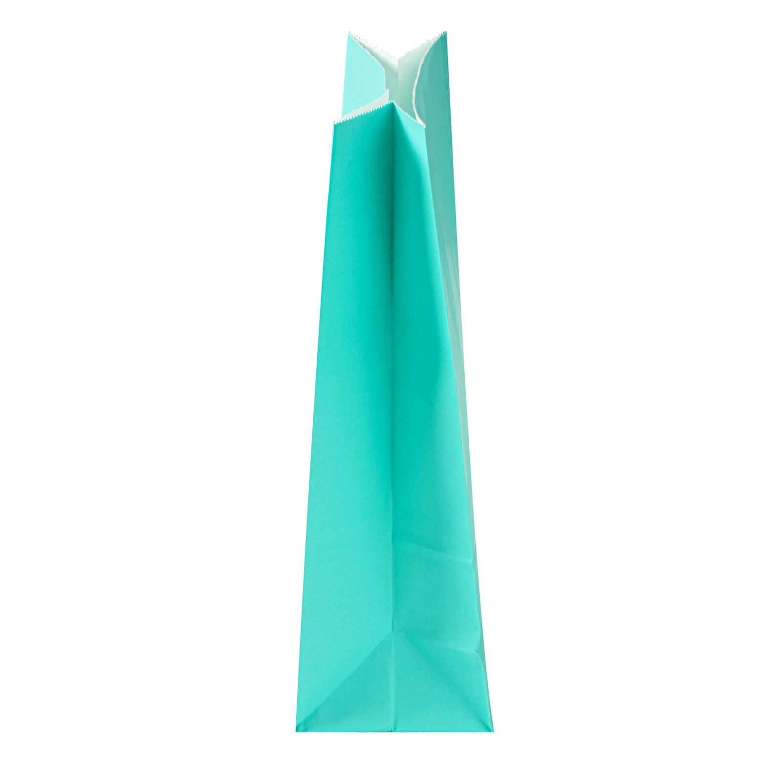 Premium Turquoise Paper Bags - 6 lbs, 6