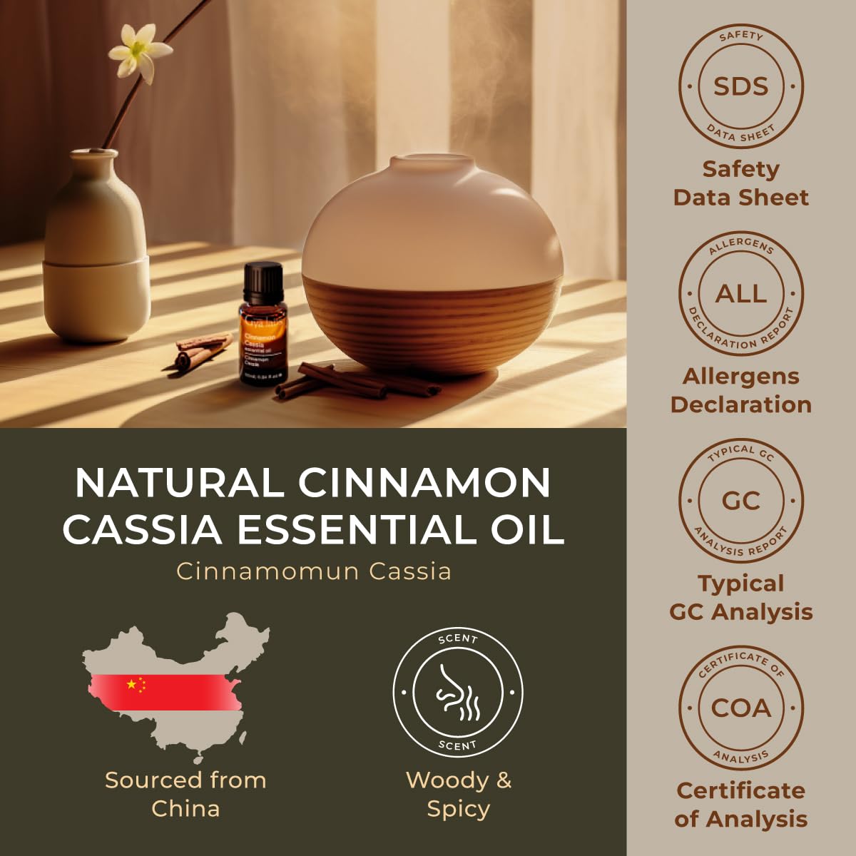 100% Pure Cassia Oil for Hair Growth & Cinnamon Essential Oil for Diffusers - Natural Aromatherapy Set (2x10ml) by Gya Labs - Perfect for Relaxation, Massage & Home Scenting