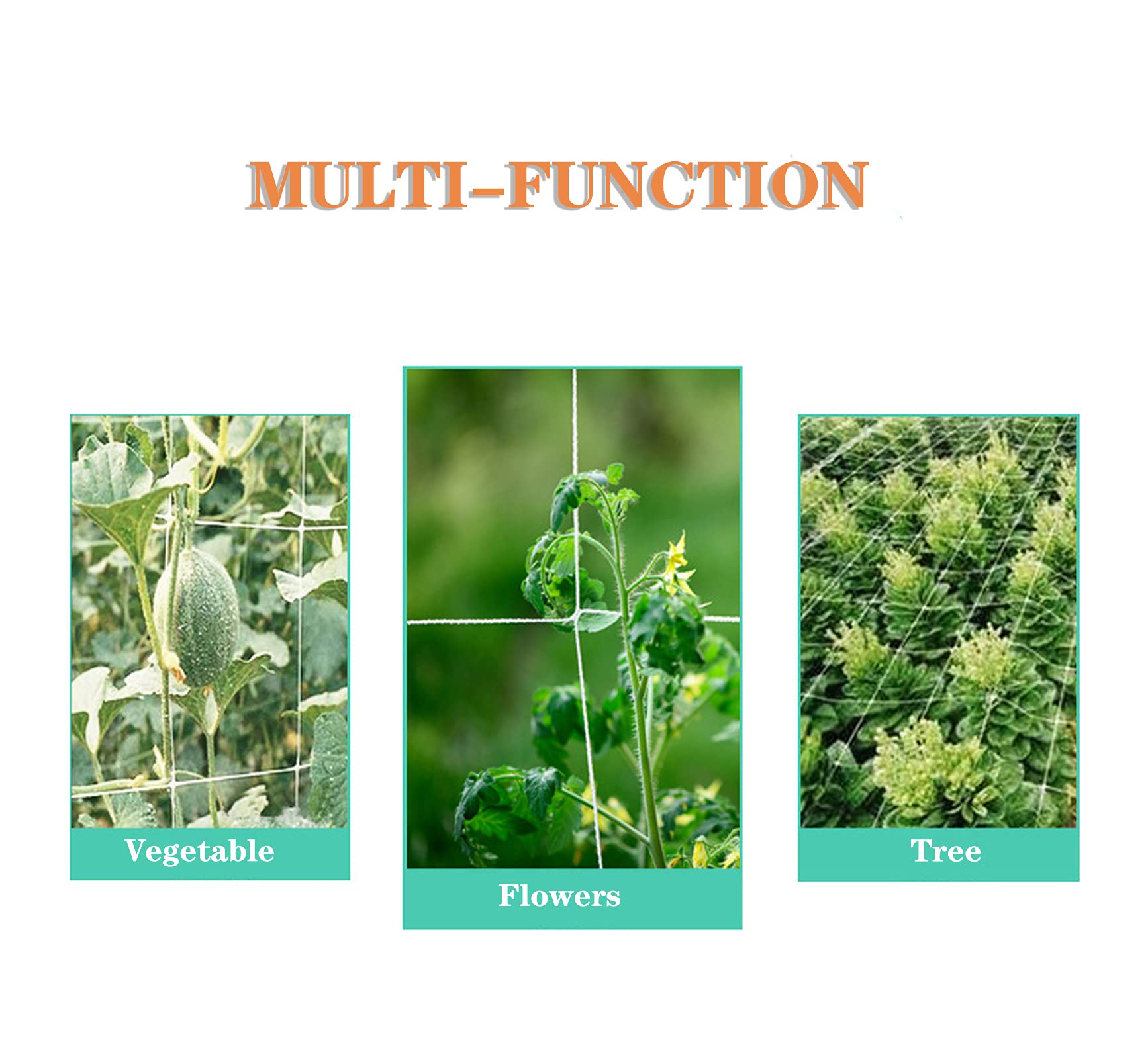 Heavy Duty Polyester Plant Trellis Netting - 5x30ft Square Mesh Support Net for Climbing Plants, Fruits, Vegetables - Durable Garden Trellis for Cucumbers, Tomatoes, Peas - 1 Pack - Perfect for Vertical Gardening & Backyard Farming