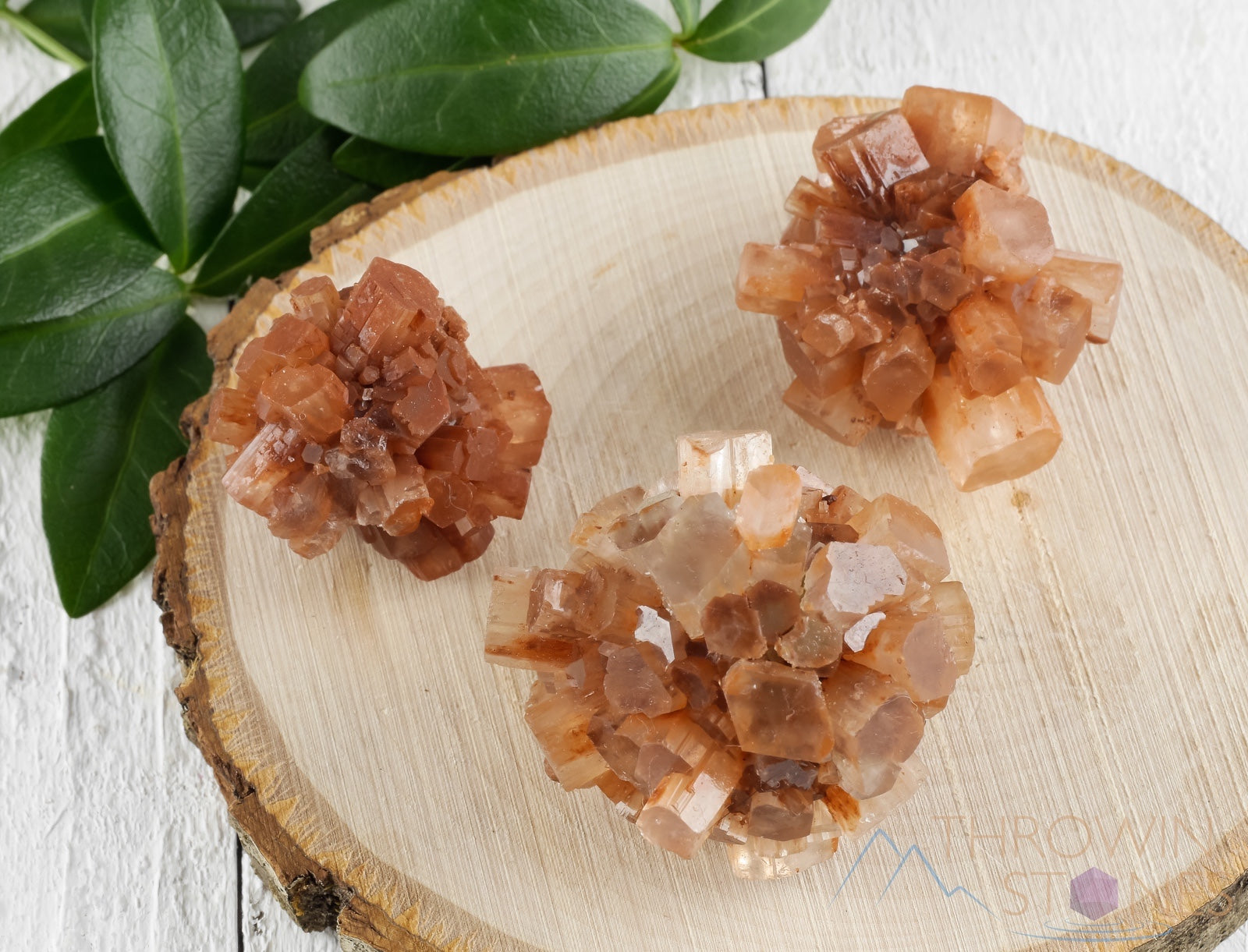 Natural Raw ARAGONITE Crystal Cluster Star - Healing Stone for Meditation, Energy Cleansing & Home Decor - Metaphysical Rocks & Minerals (E1076) - Perfect for Yoga Spaces, Altars & Spiritual Gifts