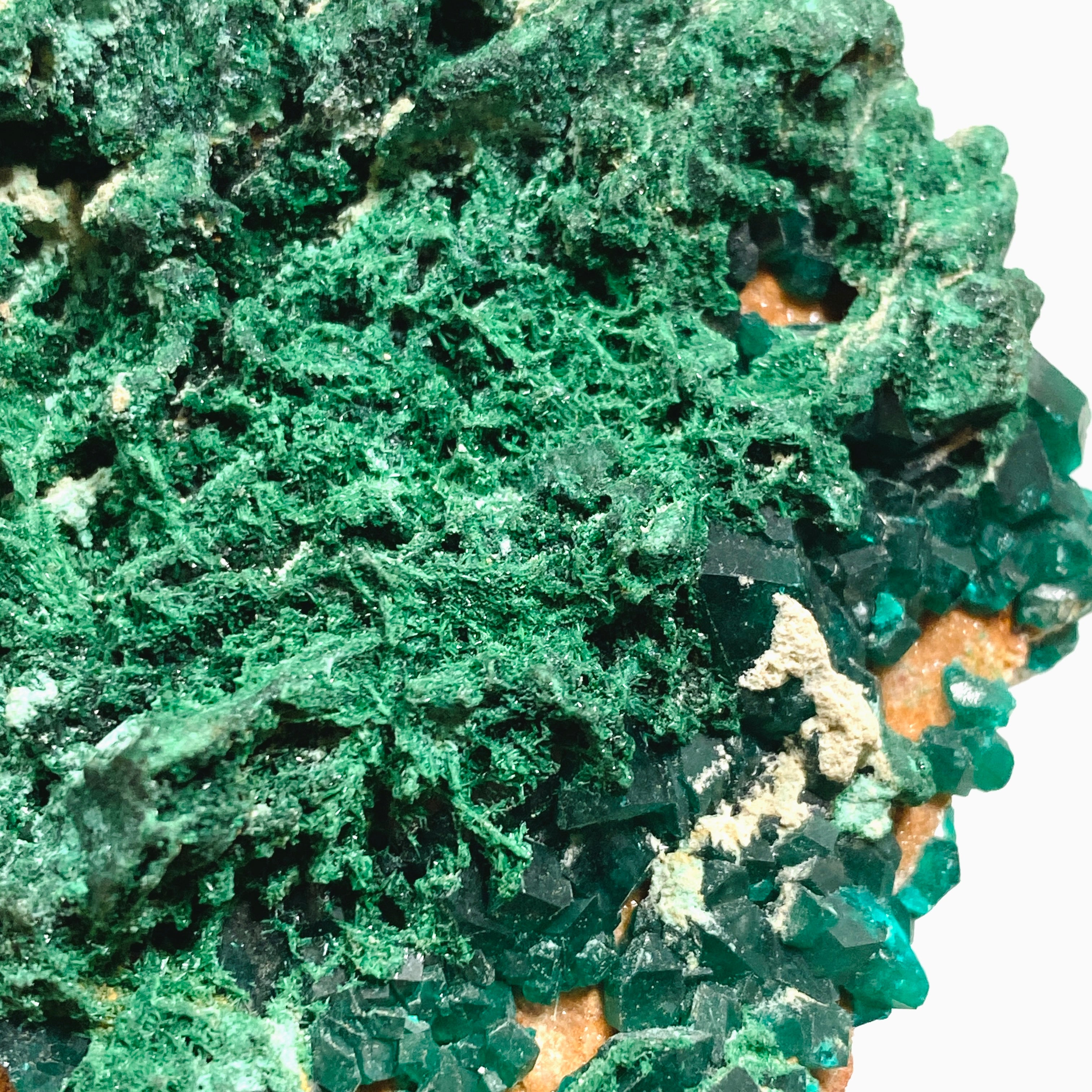 Natural Dioptase and Malachite Crystal Specimen from Congo - CR3745 | Mineral Collection, Healing Crystals, Geology Display, Home Decor
