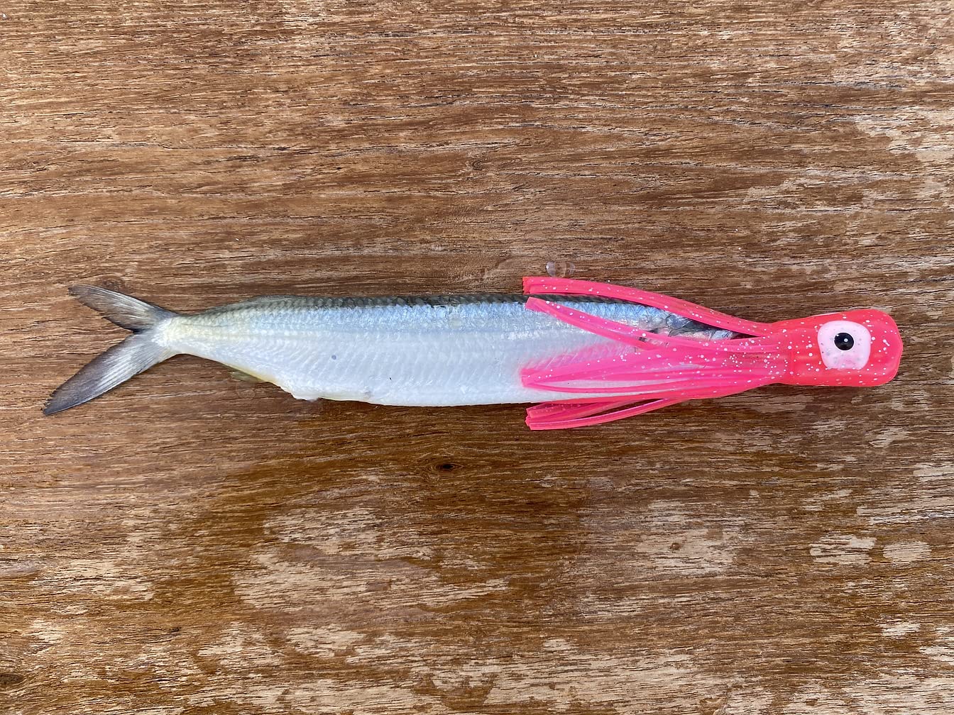 4.5 Inch Soft Fishing Lure for Marlin, Dorado & Tuna - Premium Offshore Trolling Chugger Head - Perfect for Saltwater Game Fishing & Deep Sea Angling