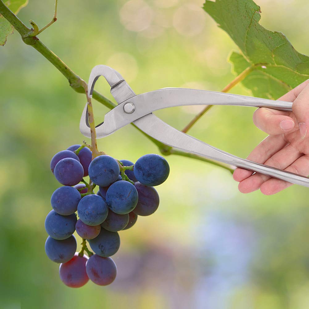 27cm Stainless Steel Bonsai Trunk Splitter - Professional Garden Branch Cutter & Pruning Scissors for Beginners | Perfect for Bonsai Shaping, Tree Trimming, and Gardening Maintenance