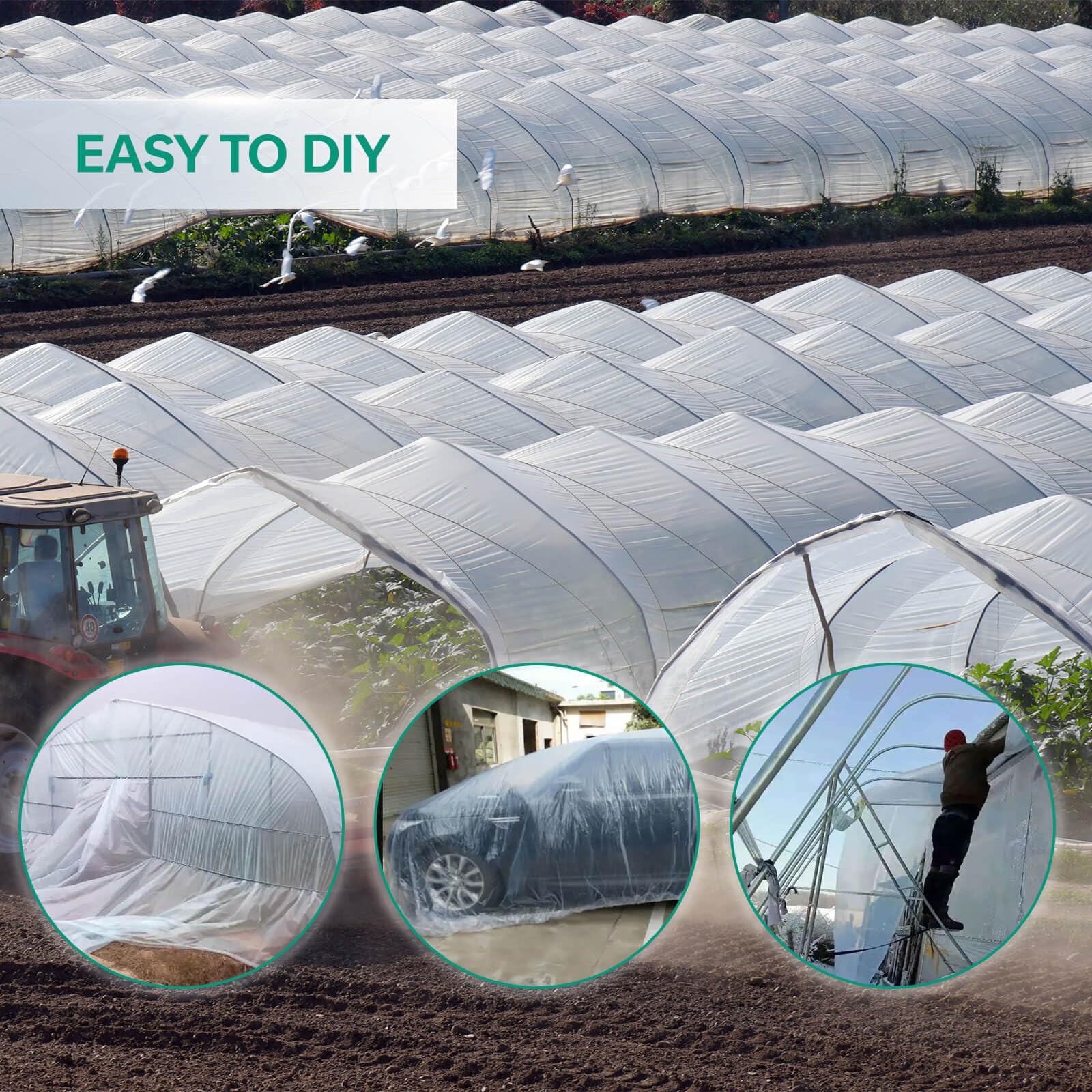 6.5X6.5FT Clear Greenhouse Plastic Sheeting - 6 Mil Thick Anti-Drip Greenhouse Film Cover for Gardening, Farming & Plant Protection - Durable UV-Resistant Polyethylene Plastic for Greenhouses, Agriculture & Hydroponics (Perfect for Seed Starting, Plant Growth & Season Extension)