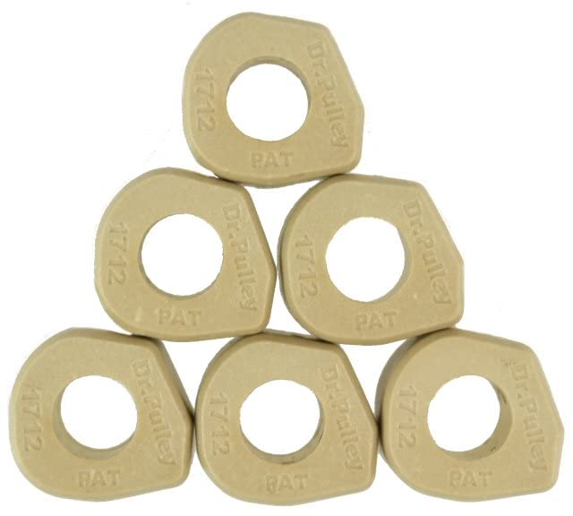 Dr. Pulley 17x12 Sliding Roller Weights for Scooter & ATV Performance - High-Quality CVT Transmission Upgrade Parts for Smooth Acceleration & Fuel Efficiency