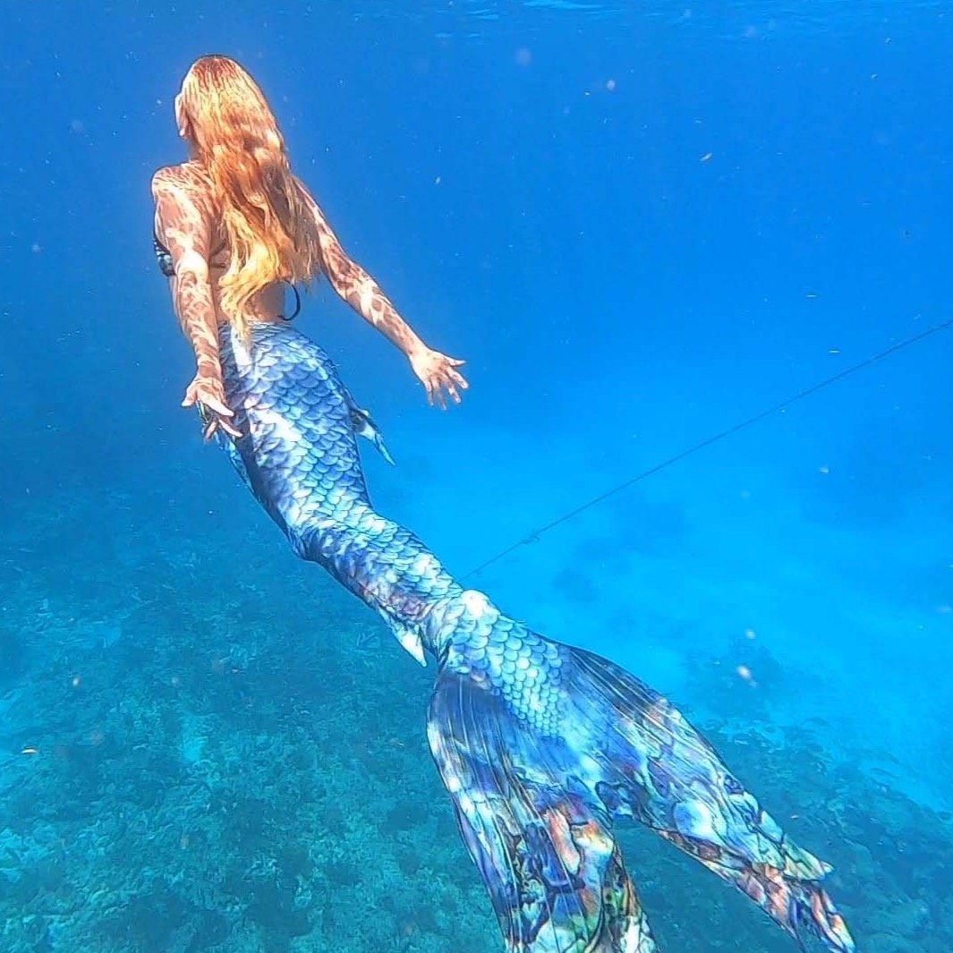 Premium Abalone Eco DiveTail - High-Quality Sustainable Scuba Diving Fins for Ocean Exploration & Marine Adventures