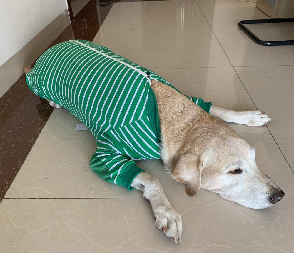 Large Dog Striped Jumpsuit - 4-Legged Cotton Pajamas with Zipper for Big Dogs (Size 6, Green) - Cozy Pet Clothes for Winter & Indoor Lounging