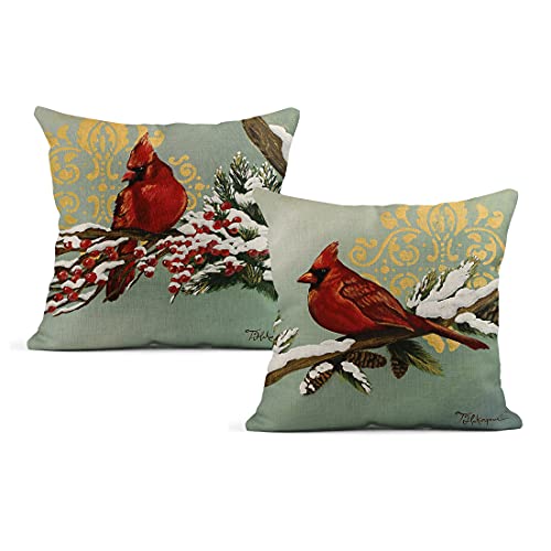 Winter Cardinal