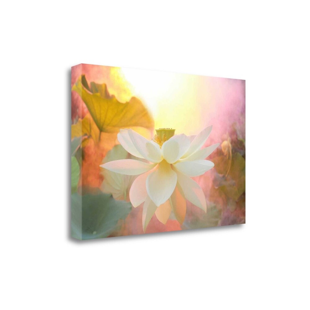 Arise by Bahman Farzad - Premium Giclee Art Print on Gallery Wrapped Canvas - Ready to Hang Wall Decor - Perfect for Living Room, Bedroom & Office