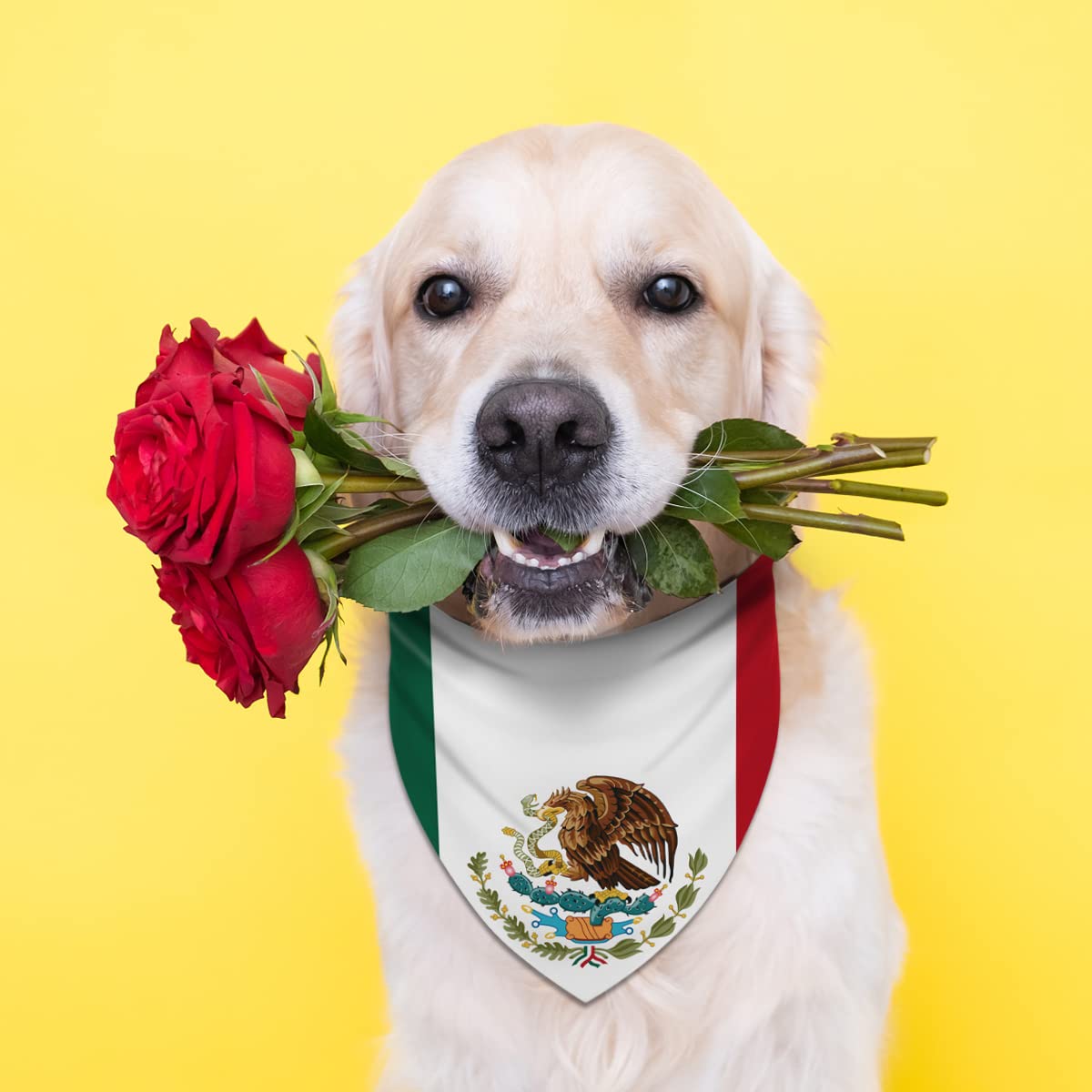 Mexican Independence Day Dog Bandana - Adjustable Triangle Bib Scarf for Small & Medium Dogs & Cats - Perfect for Pet Parties, Parades & Celebrations