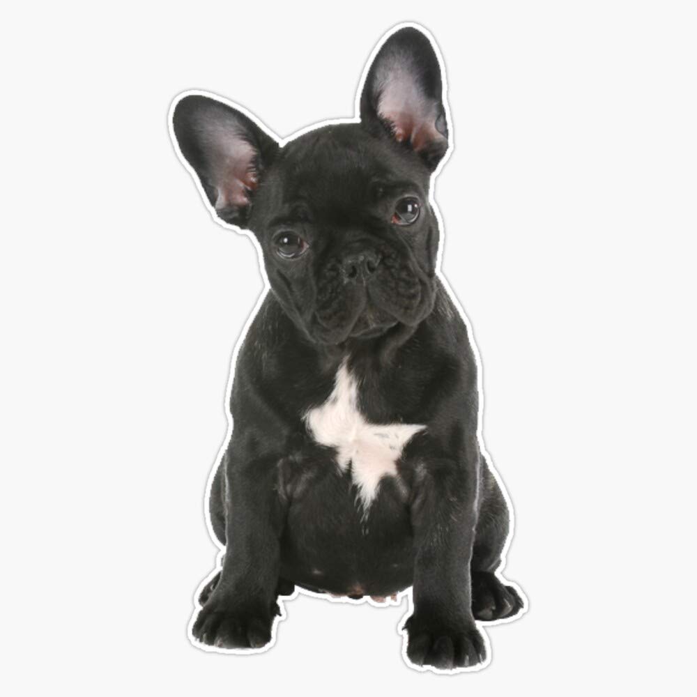 French Bulldog Vinyl Waterproof Sticker Decal - 5