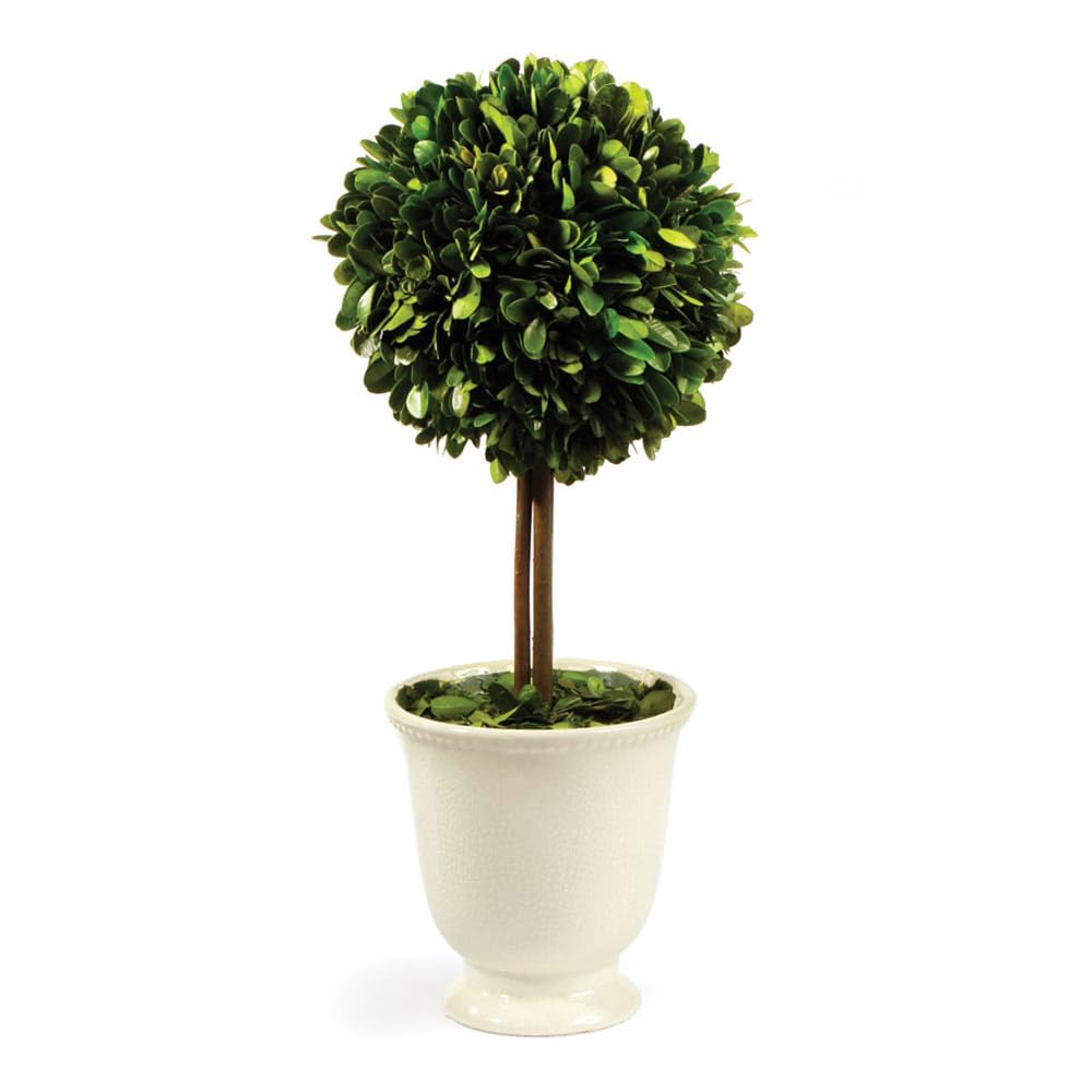 Elegant Napa PG Topiary Artificial Plant in Beaded White Pot - 7x7x16 Inches Home Decor for Living Room, Office & Wedding Centerpiece