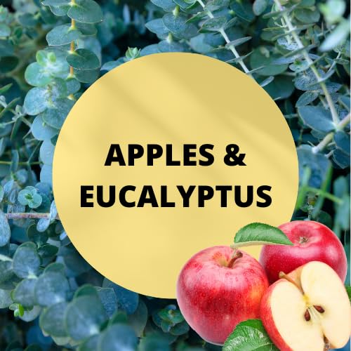 Black Canyon Apples & Eucalyptus Scented Body Lotion with Lanolin and Jojoba Oil - 16 Oz (2 Pack) - Moisturizing Dry Skin for Women & Men - Perfect for Daily Use & Spa Treatments