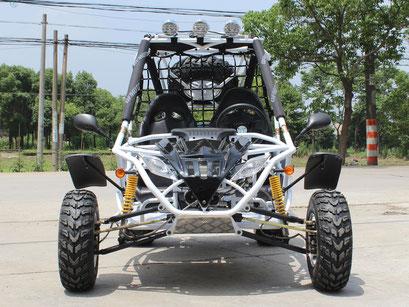 Jaguar 200 Go Kart - High Performance Racing Kart for Adults & Teens - Perfect for Outdoor Racing, Track Days & Backyard Fun