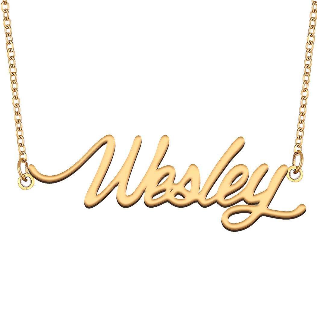BeautyLiLi Custom Name Necklace for Women & Girls - Personalized Jewelry with Engraved Pendant | Perfect Gift for Birthday, Anniversary & Mother's Day