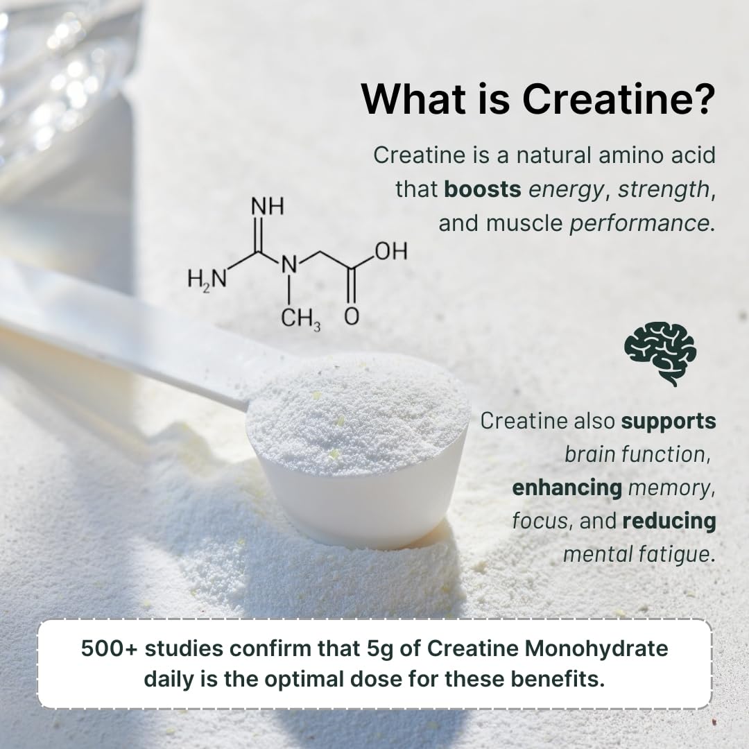 Premium Chocolate Whey Protein Powder with Creatine - 25g Protein & 5g Creatine per Serving - Gluten-Free, No Added Sugar - 15 Single-Serve Packets for Travel, Gym & Post-Workout Recovery - Ideal for Athletes & Fitness Enthusiasts