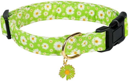 Green Flower