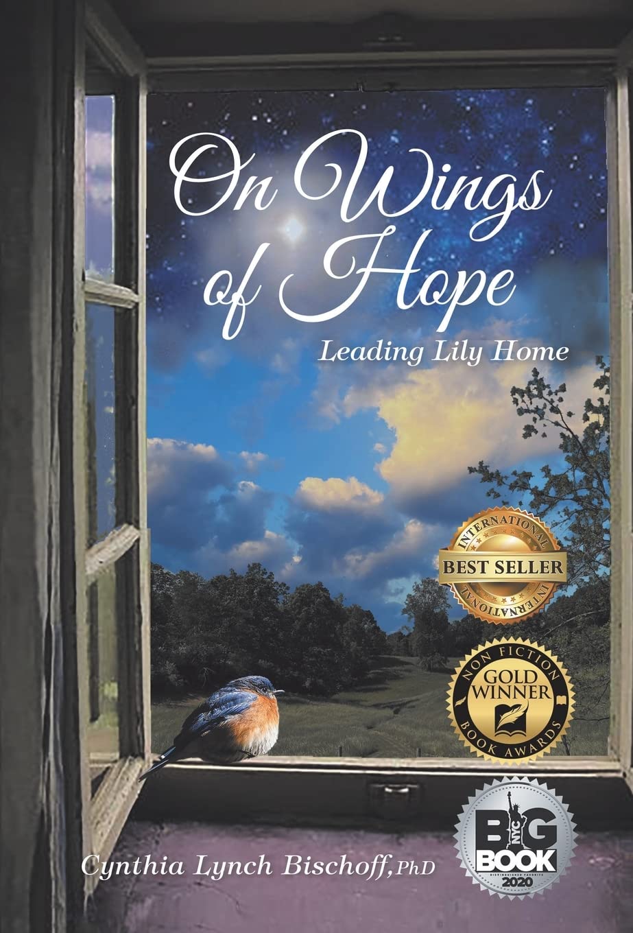 On Wings of Hope: Leading Lily Home - Inspirational Christian Novel for Women, Perfect for Book Clubs & Gift Giving